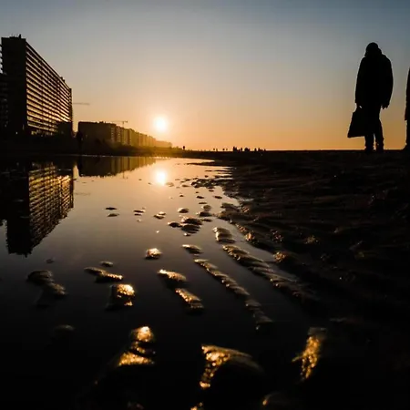 In With Marina Views Апартаменты