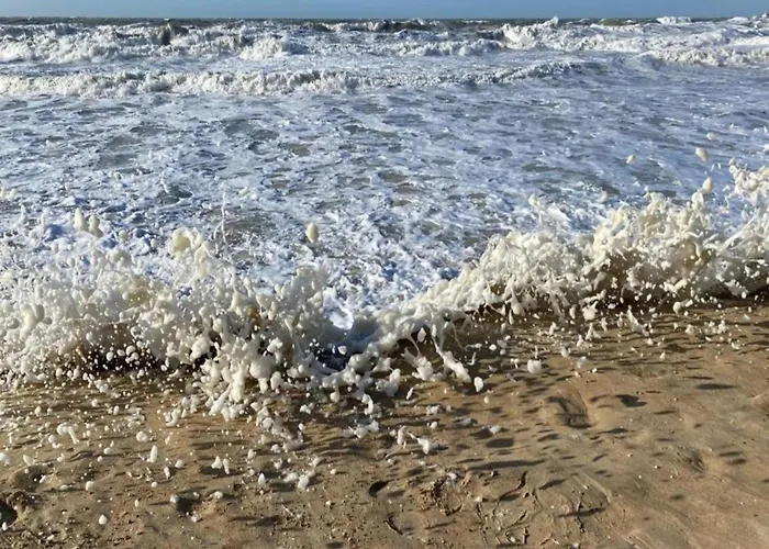 In With Marina Views Apartamento *