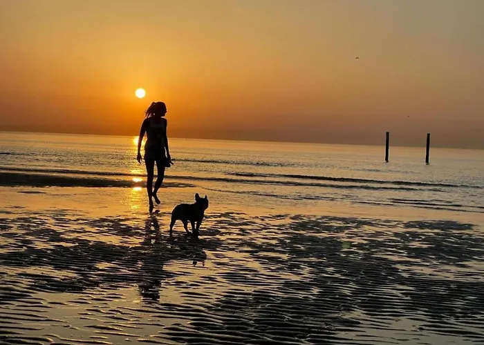 In With Marina Views Apartamento Ostend
