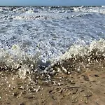 In With Marina Views Lejlighed *